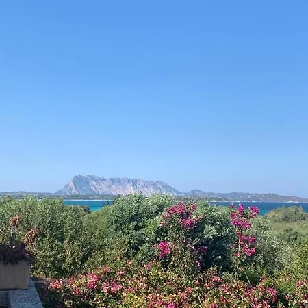 Villa La Cinta
