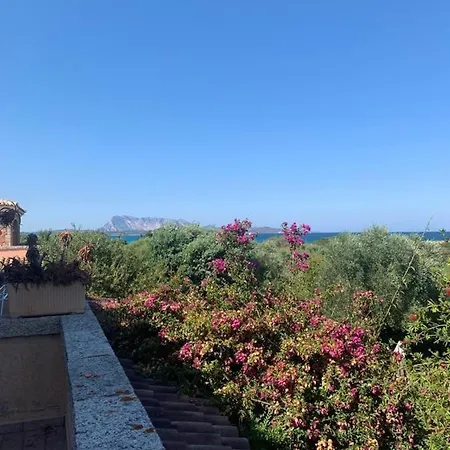 La Cinta Villa *